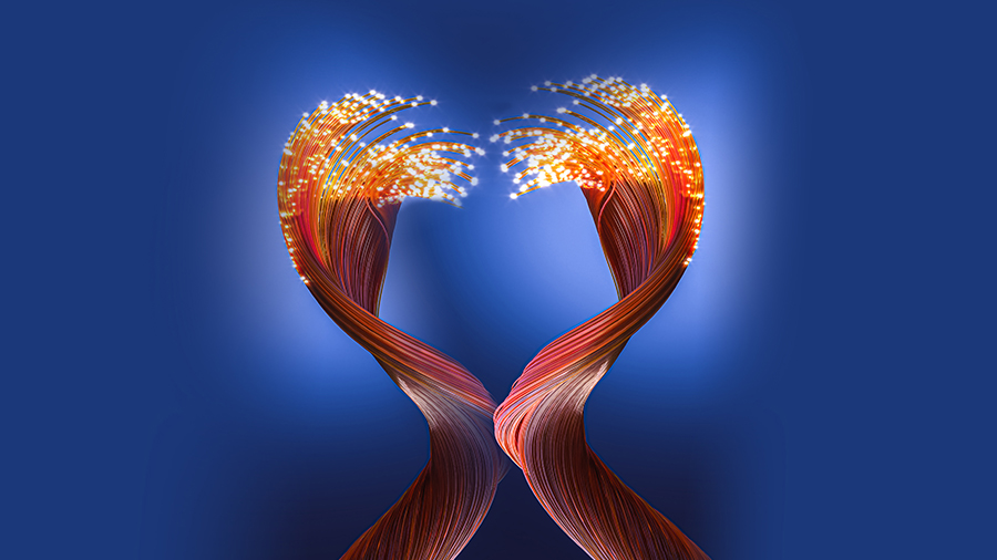 Fibers forming a heart shape
