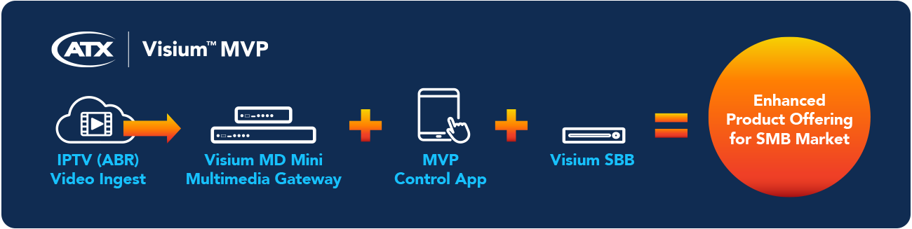 Visium MVP Solution elements