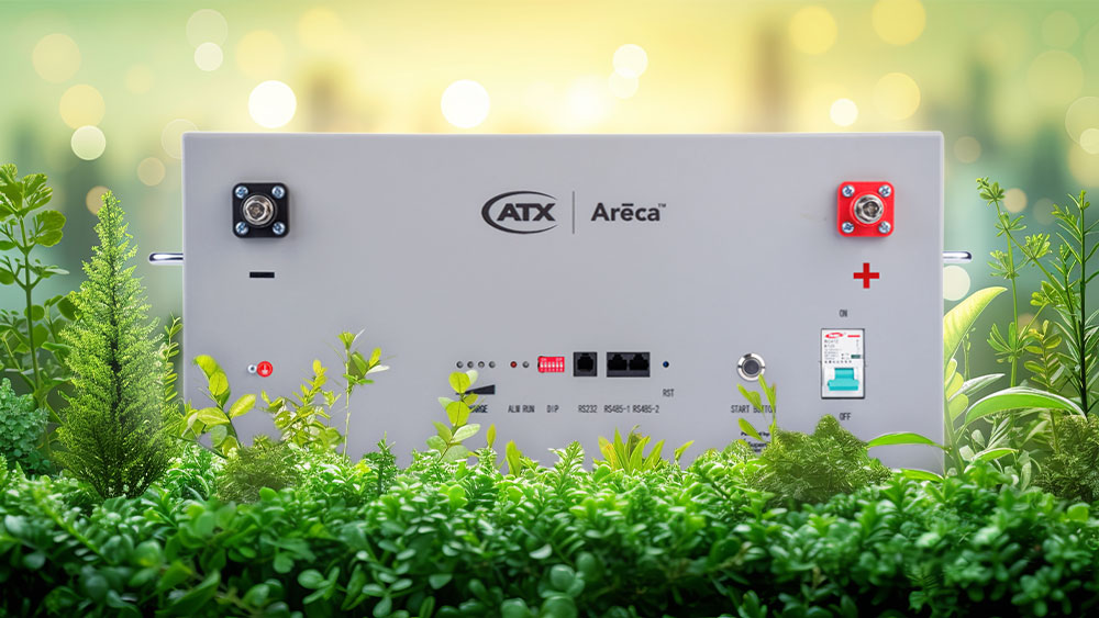 an Areca Hybrid Supercapacitor battery surrounded by green plants