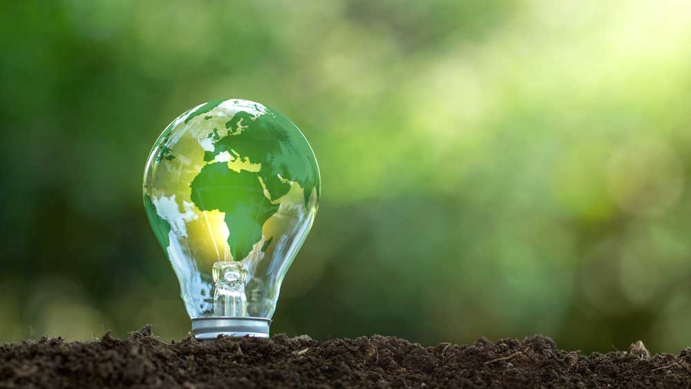 Energy concept with Earth reflected in a light bulb with greenery surrounding
