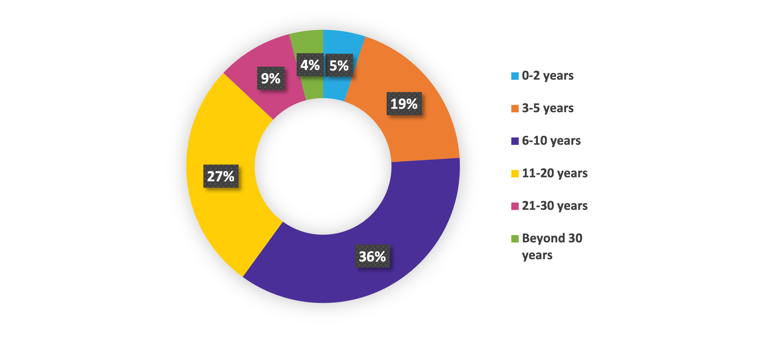 pie chart