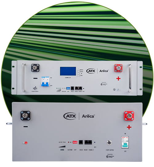 Areca Hybrid Supercapacitors